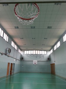 palestra-Collodi
