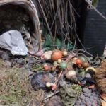 IMG-20181122-WA0009