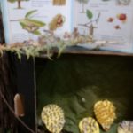IMG-20181122-WA0012