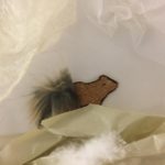 IMG-20181219-WA0008