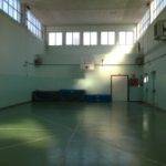 palestra vitt