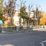 vittorino