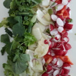 Italian flag 4